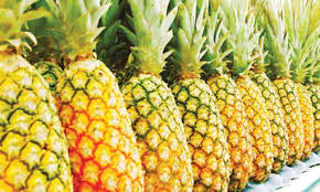 Fruits Shop periyakulam